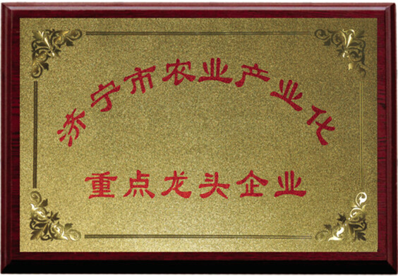 龙头1.jpg