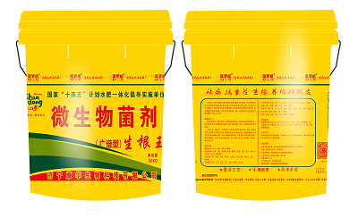 生根王桶