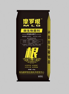 摩罗根效果图 -1