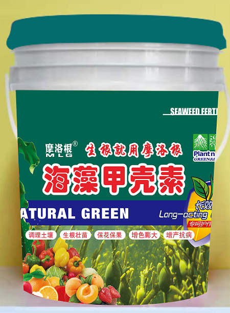 娴疯椈鐢插３绱?- 鍓湰.png