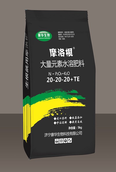 姘存憾鑲?0-20-20 - 鍓湰.jpg