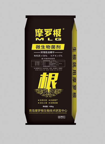 鎽╃綏鏍规晥鏋滃浘 (1) - 鍓湰.jpg